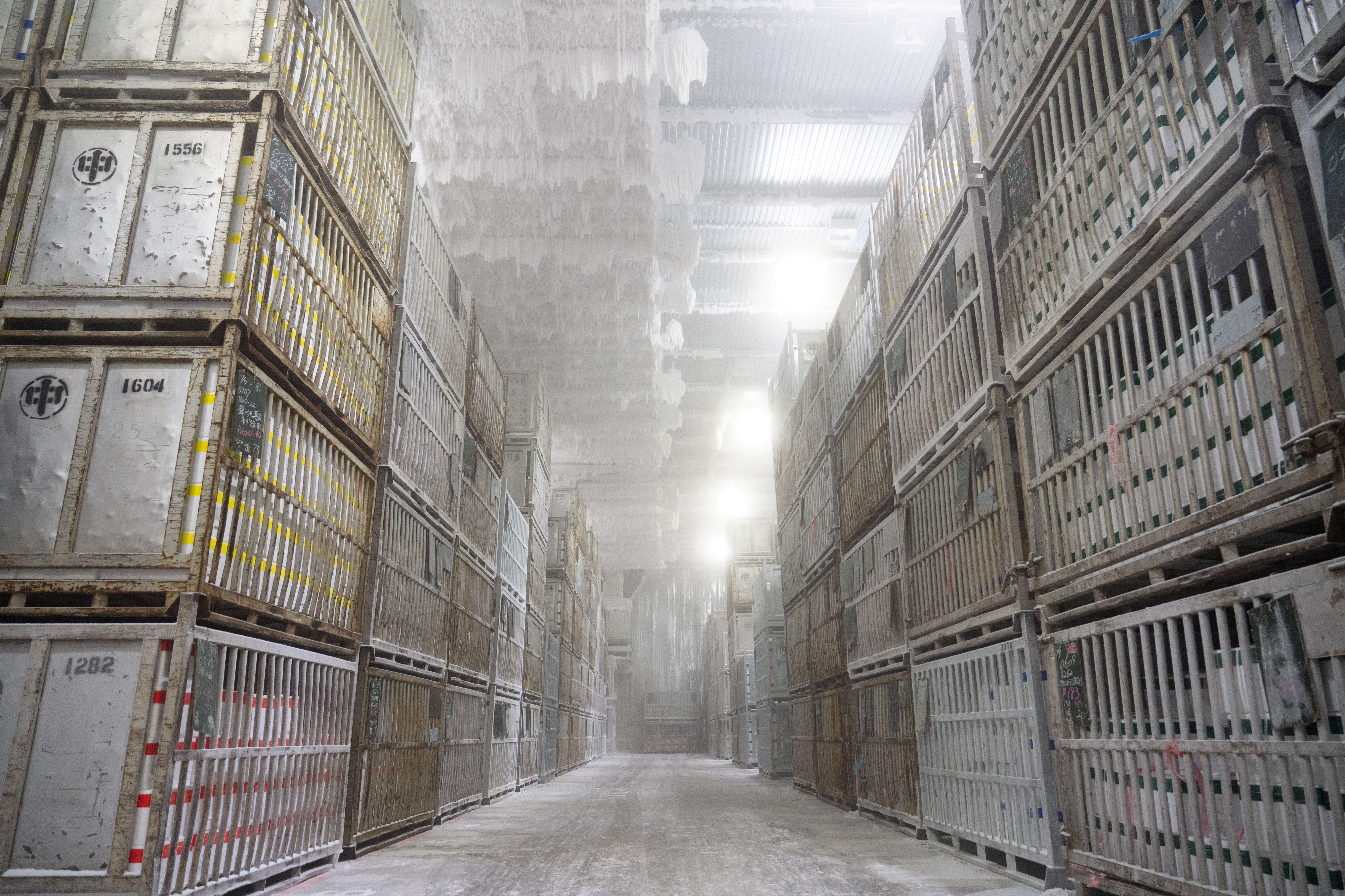 中村水産株式会社