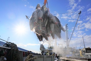 大坪水産株式会社