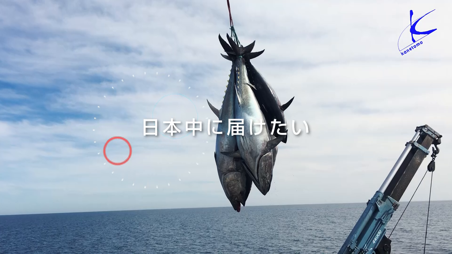 動画サムネイル